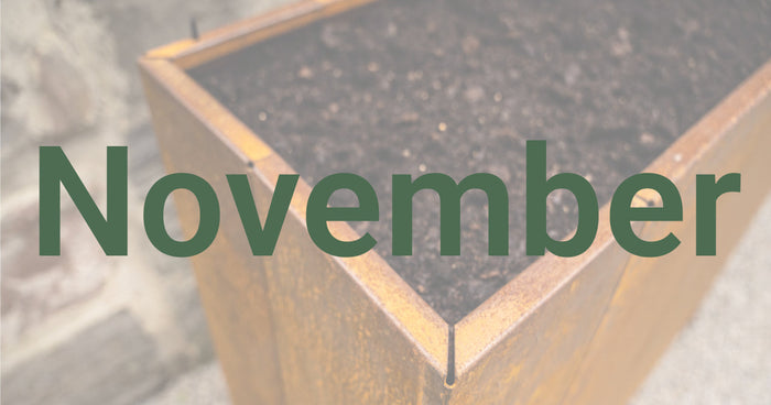Consigli di giardinaggio per novembre