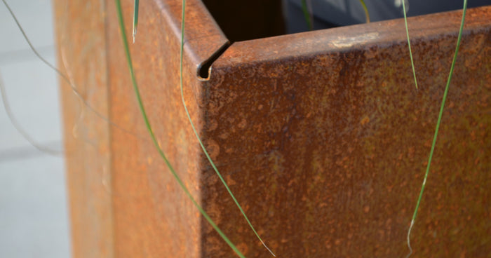 Acciaio Corten come protezione dalle lumache: funziona davvero?