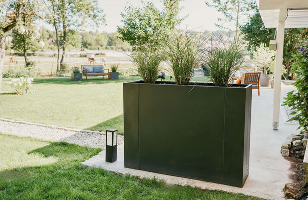 Durabilité au jardin : parterres surélevés en métal comparés à ceux en bois et en plastique