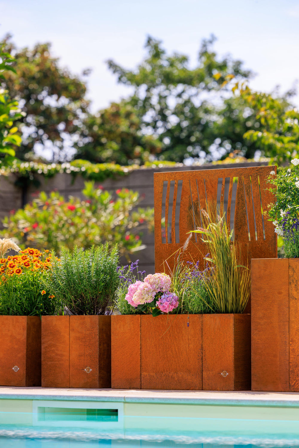 Pflanzkübel Vernazza Cortenstahl bepflanzt am Pool Pflanzkübel Vernazza Cortenstahl bepflanzt am Pool