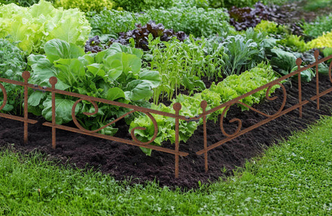 beetzaun balerna unbeschichtet