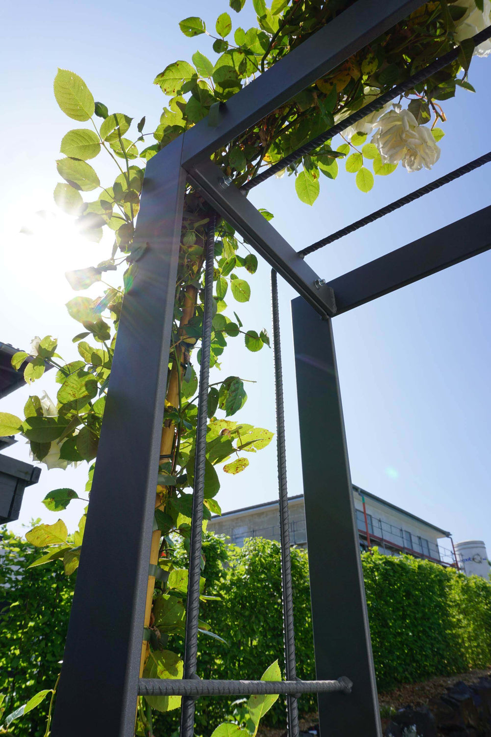 Mezzo arco per rampicanti Savona Mezzo arco per rampicanti Savona