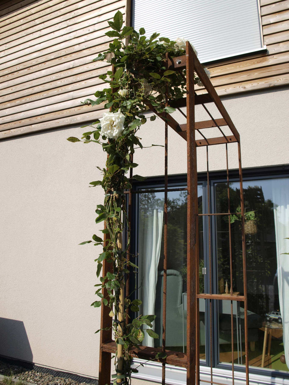 Moderner eckiger Rosenbogen Savona unbeschichtet im Garten Moderner eckiger Rosenbogen Savona unbeschichtet im Garten