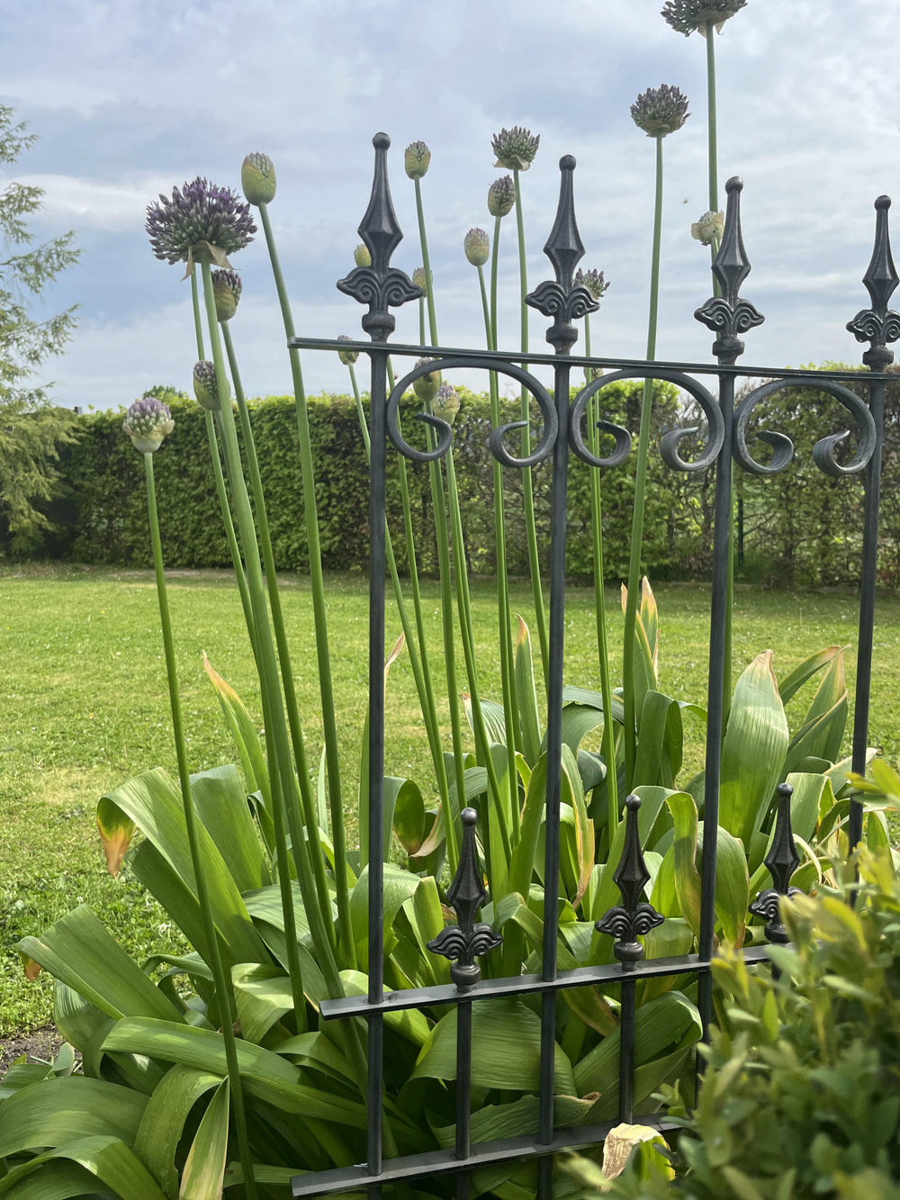 Set recinzione decorativa per giardino Lucca Set recinzione decorativa per giardino Lucca