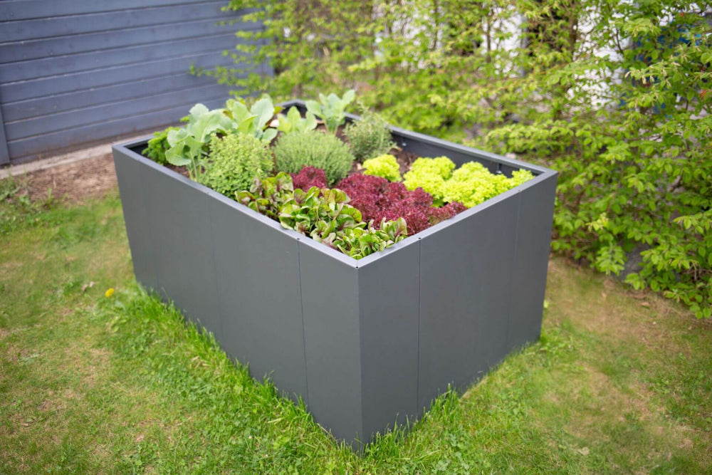 Hochbeet Monterosso bepflanzt mit Salaten und Kohl | Pulverbeschichtet anthrazit Hochbeet Monterosso bepflanzt mit Salaten und Kohl | Pulverbeschichtet anthrazit