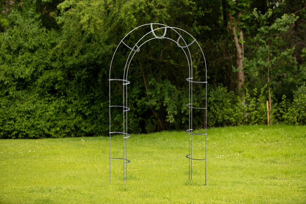 Arco per rampicanti Caserta Arco per rampicanti Caserta