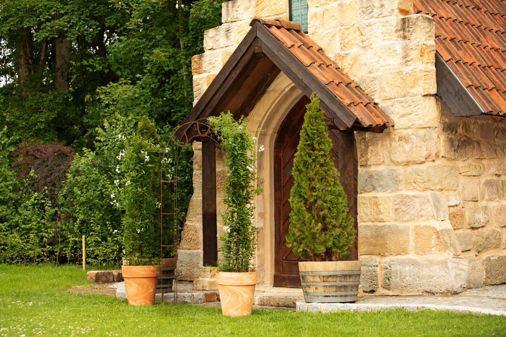 Arco per rampicanti Caserta Arco per rampicanti Caserta