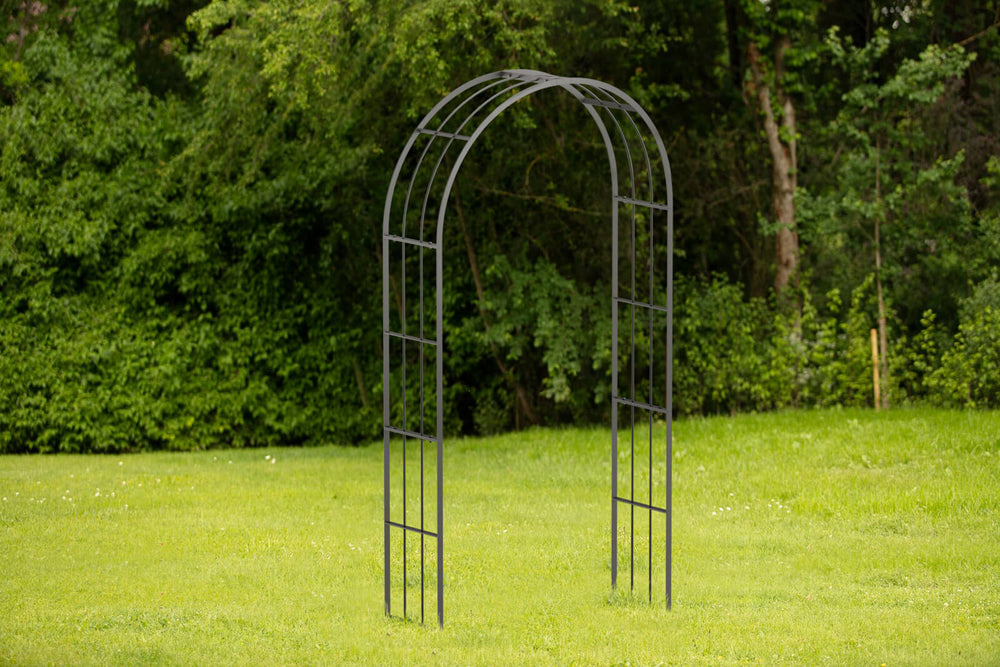 Arco per rampicanti  Cesena Arco per rampicanti  Cesena