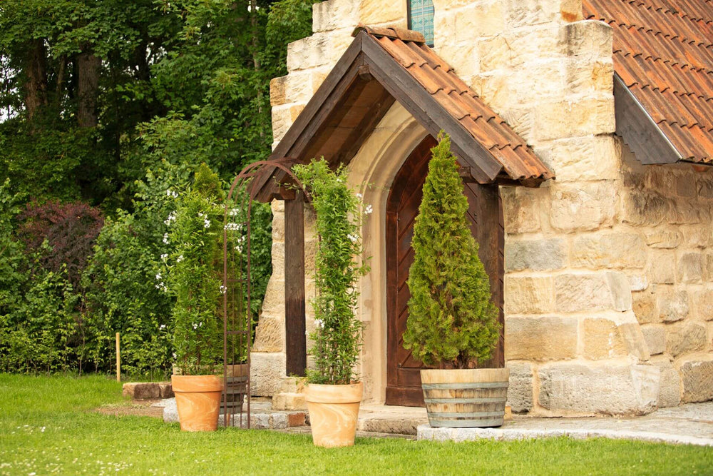 Arco per rampicanti  Cesena Arco per rampicanti  Cesena