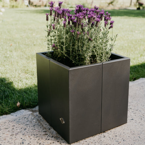 Pflanzkübel Vernazza 40x40x40 in Metall bepflanzt vor einem grünen Garten Pflanzkübel Vernazza 40x40x40 in Metall bepflanzt vor einem grünen Garten