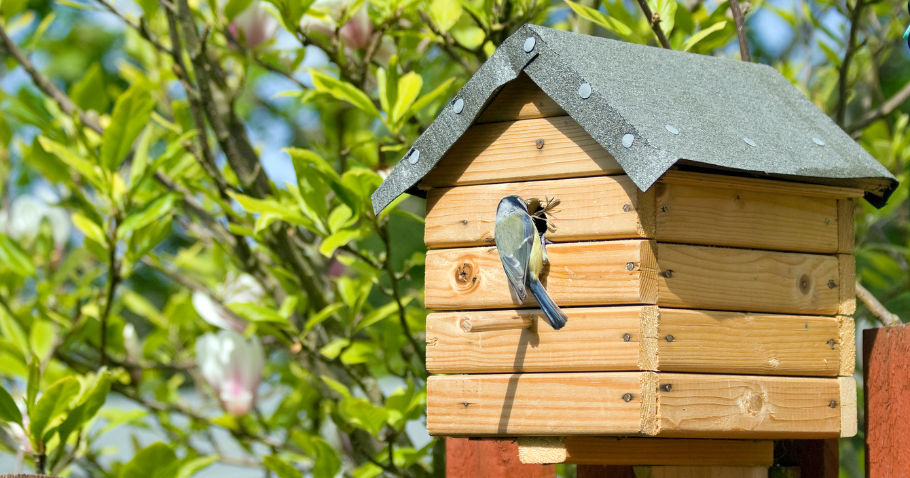 Costruire una casetta per uccelli fai da te: idee semplici e fissaggio sicuro
