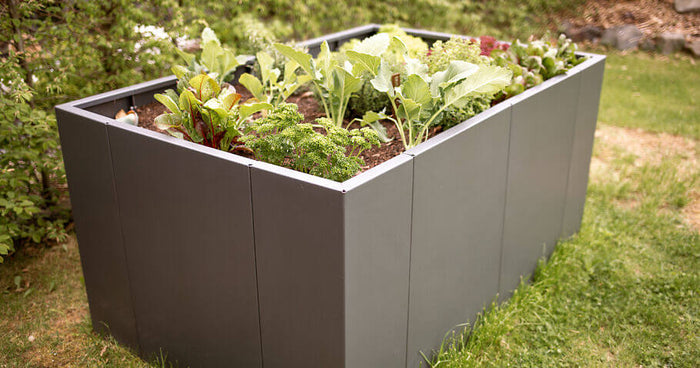 Aiuola rialzata: kit o completamente saldata: qual è la scelta migliore per il tuo giardino?