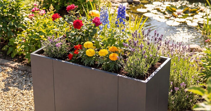 Fiori nella fioriera rialzata – le varietà più belle e idee di piantagione per una fioriera rialzata fiorita