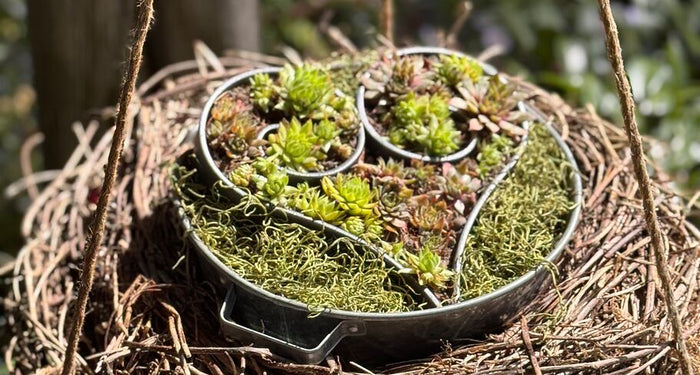 Come piantare e decorare un cuore di metallo: guida passo dopo passo con idee creative per la decorazione
