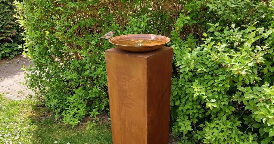 Come sistemare un abbeveratoio per uccelli in giardino: posizione, manutenzione e la base giusta