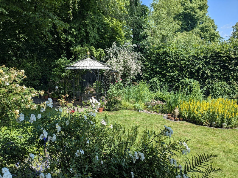 Progettare un mini-giardino: le idee più belle per giardini piccoli e stretti