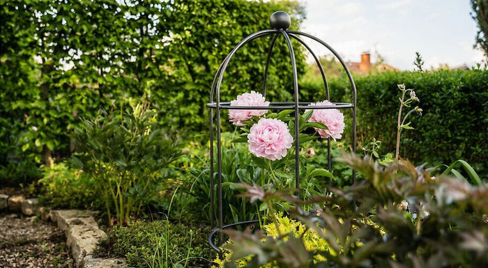 Giardino di facile manutenzione – Idee e consigli per una semplice progettazione del giardino