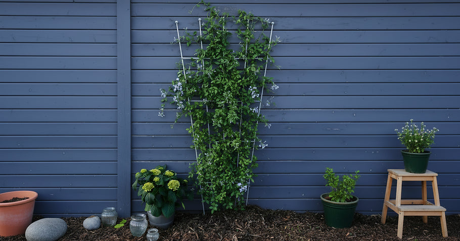 Giardinaggio verticale: <br>Le 5 piante più belle per tralicci per rampicanti e pareti di casa