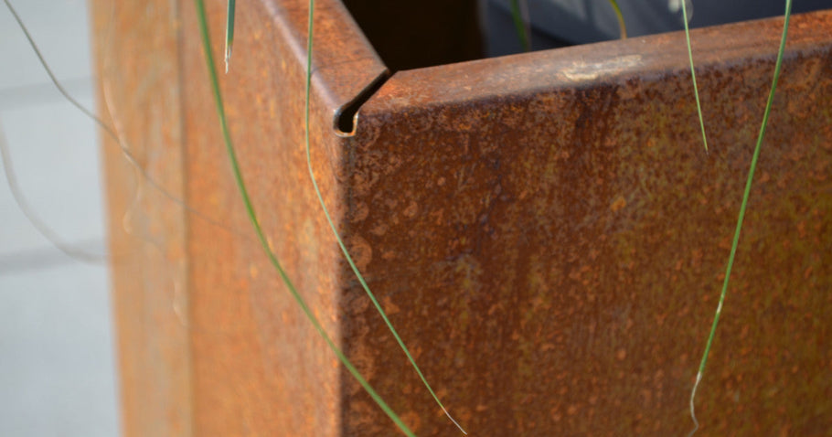 Acciaio Corten come protezione dalle lumache: funziona davvero?