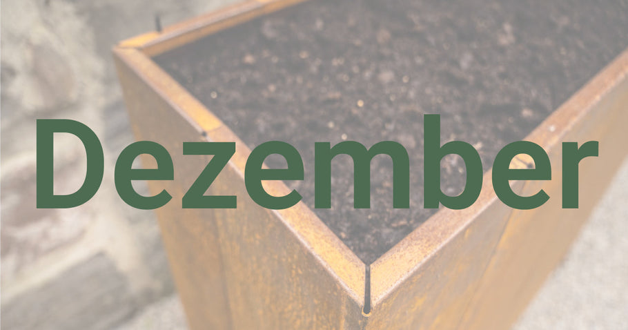 Consigli di giardinaggio per dicembre