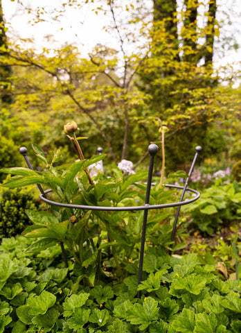 HowHomely Moderno supporto per fiori in metallo, altezza 70 cm, con vaso di fiori nero, rotondo, diametro 19 cm, supporto in oro robusto, per la decorazione di interni HowHomely Moderno supporto per fiori in metallo, altezza 70 cm, con vaso di fiori nero, rotondo, diametro 19 cm, supporto in oro robusto, per la decorazione di interni