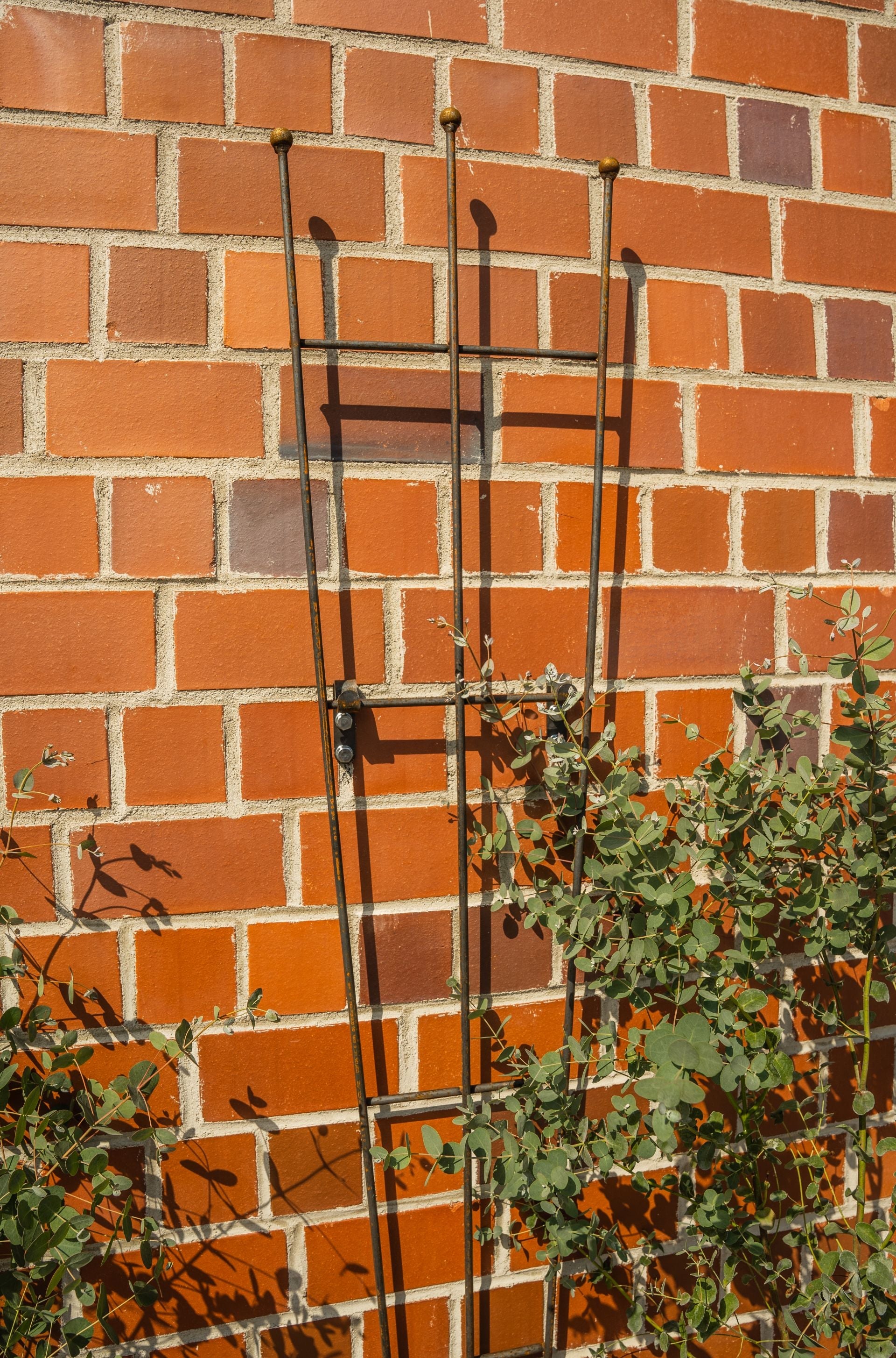 Obelisco Da Giardino In Ferro Battuto – Colonna Per Piante Rampicanti – Struttura Multicolore 185x40 Cm – Resistente Alle Intemperie